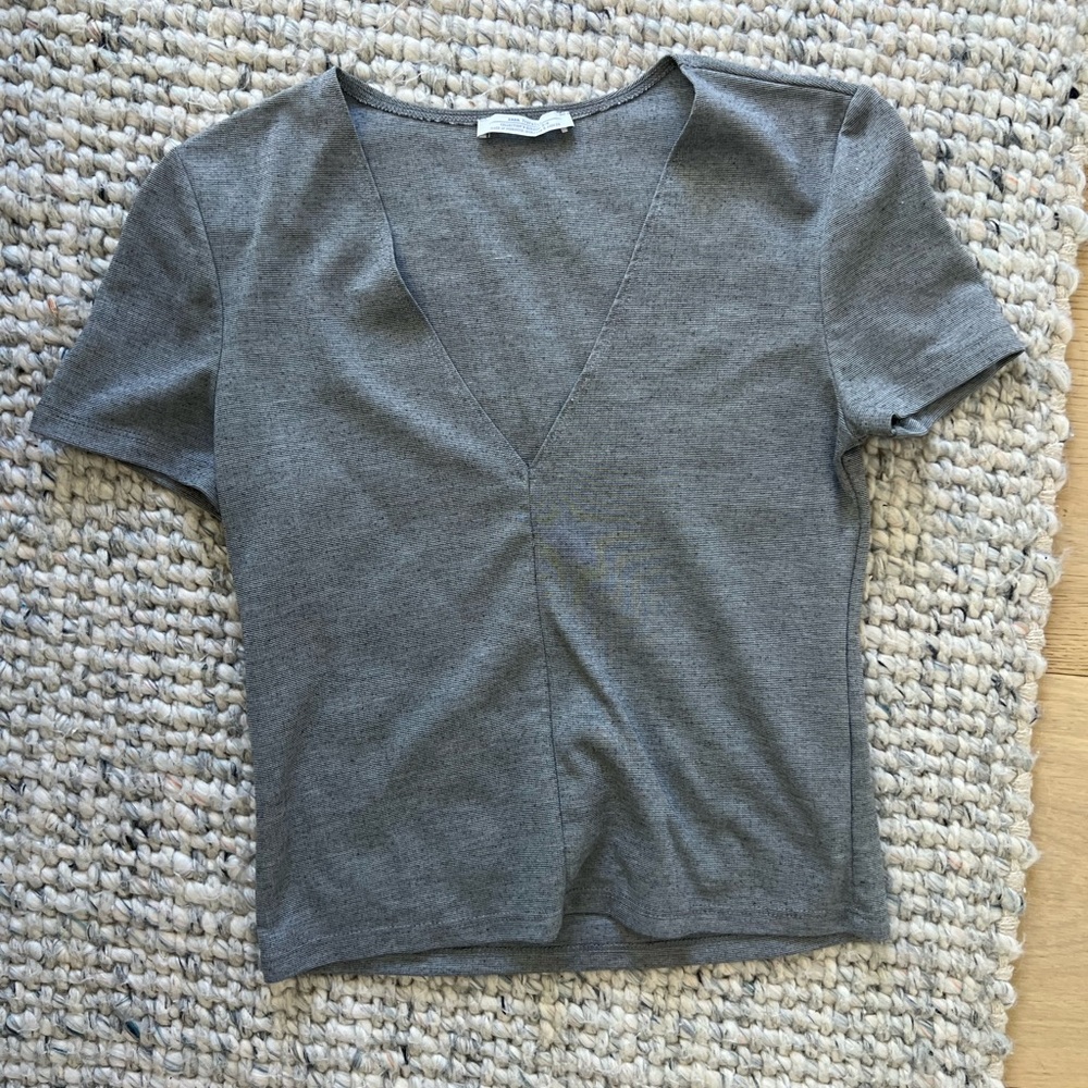 Zara Top